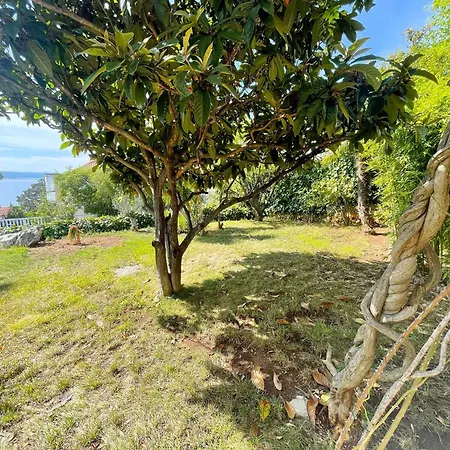 In 41602 Lejlighed *