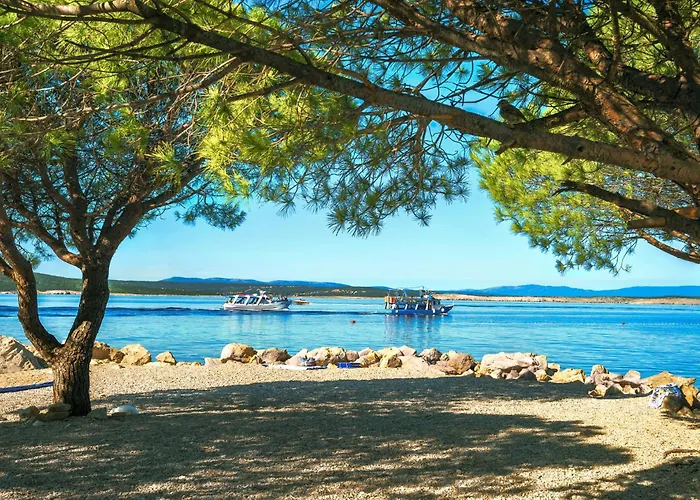 In 41602 Appartement *